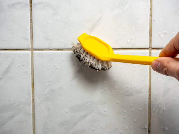 Best Mold Removal Company Near Me  in Red Lick, TX