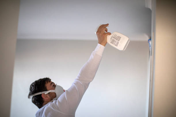 Best Mold Cleaning Services  in Red Lick, TX